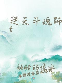 逆天斗魂师txt