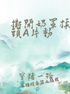 撕开奶罩揉吮奶头A片动