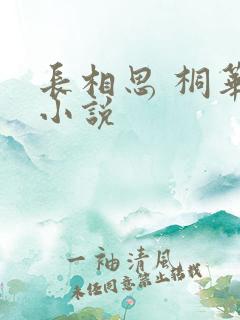 长相思 桐华 小说