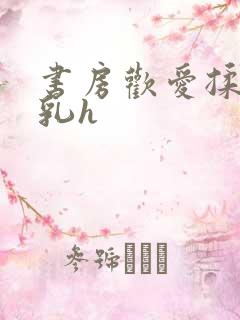 书房欢爱揉捏娇乳h