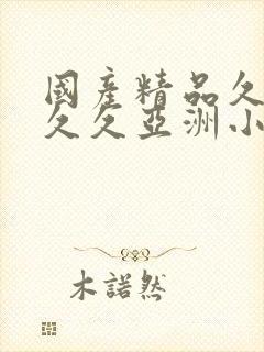 国产精品久久久久久亚洲小说