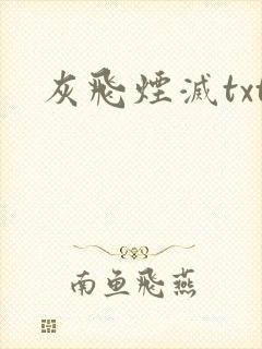 灰飞烟灭txt