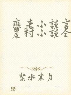 恋老小说言情网农村小说全文阅读