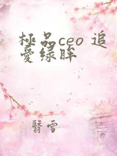 极品ceo 追爱绿眸