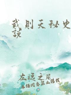 武则天秘史 小说