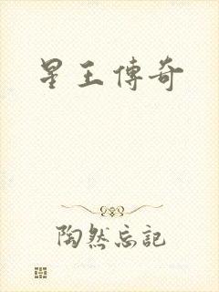 星王传奇