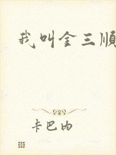 我叫金三顺下载