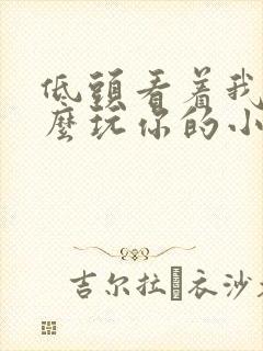 低头看着我是怎么玩你的小说