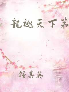 龙巡天下第四部