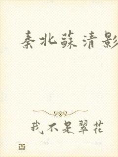 秦北苏清影小说