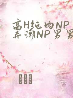 高H纯肉NP 弄潮NP男男