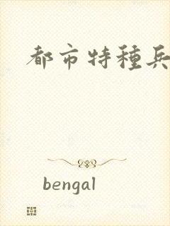 都市特种兵任天