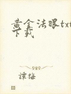 黄金法眼txt下载