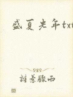 盛夏光年txt