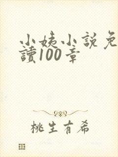 小姨小说免费阅读100章