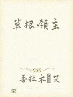 草根领主