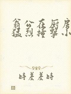 翁公在厨房和我猛烈撞击小说