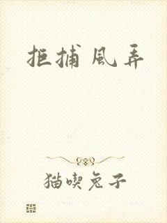 拒捕 风弄