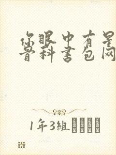 你眼中有星辰h骨科书包网