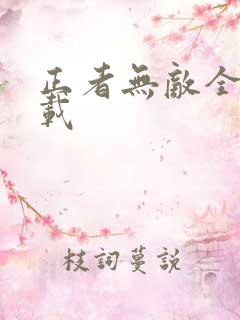 正者无敌全集下载