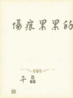 伤痕累累的勋章