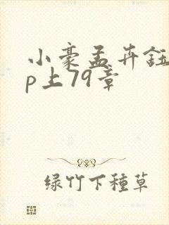 小豪孟卉钰慧三p上79章