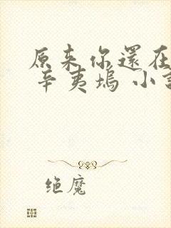 原来你还在这里 辛夷坞 小说