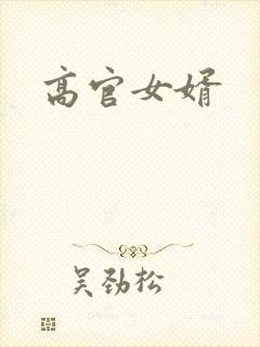 高官女婿