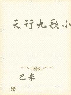 天行九歌小说