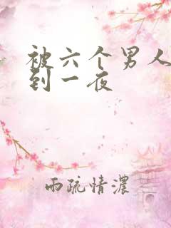 被六个男人躁J到一夜