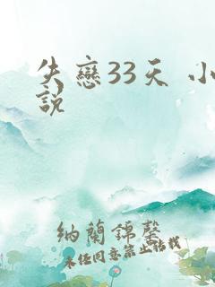 失恋33天 小说