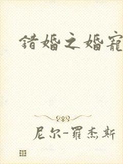 错婚之婚宠一世