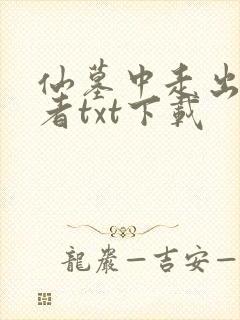 仙墓中走出的强者txt下载