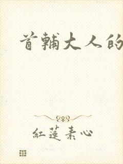 首辅大人的套路