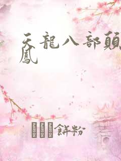 天龙八部颠龙鸾凤