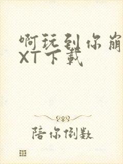 啊玩到你崩溃TXT下载