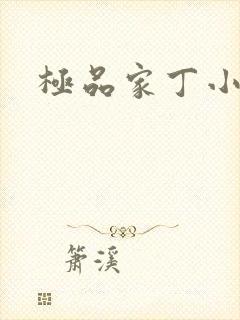 极品家丁小说