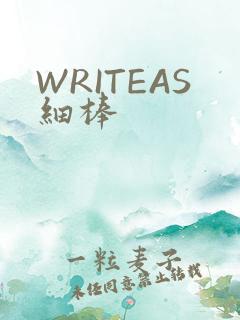 WRITEAS细棒