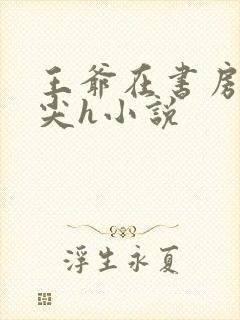 王爷在书房含乳尖h小说