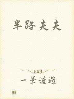 半路夫夫