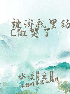 被游戏里的NPC做哭了