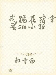 我跪在宿舍被闺蜜sm小说