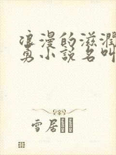 浪漫的滋润刘大勇小说名叫什么?