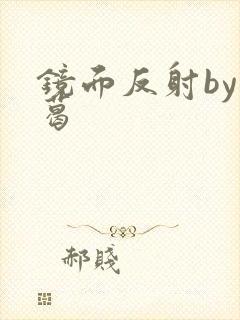 镜面反射by九葛