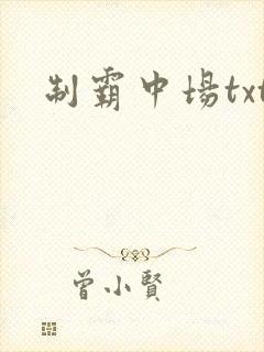制霸中场txt