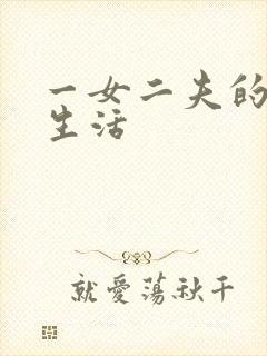 一女二夫的激情生活