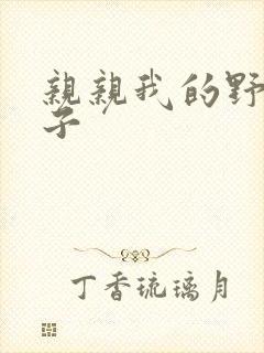 亲亲我的野猪王子