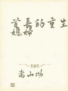 首长的重生宝贝媳妇