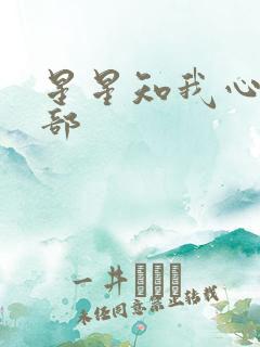 星星知我心第二部