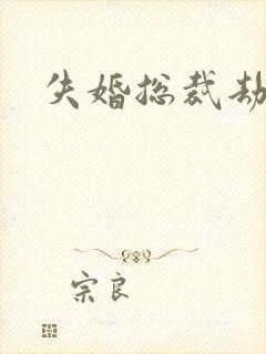 失婚总裁劫前妻